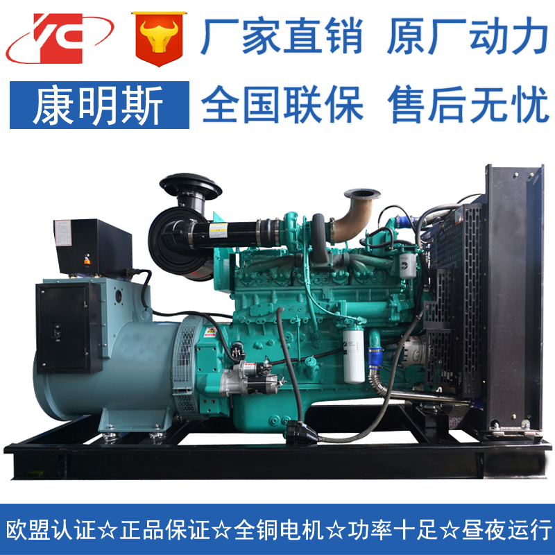 天津200KW柴油发电机组康明斯NT855-G